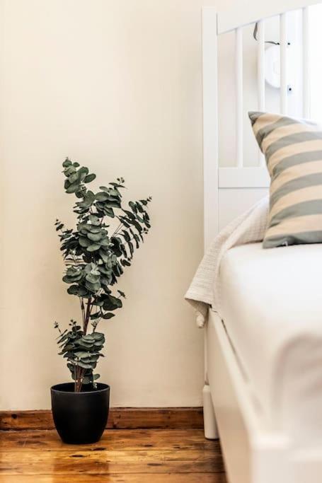 Diana'S Centrally Located Apt@ Old Town Of Corfu Corfu  Bagian luar foto